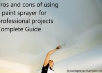 Pros and cons of using a paint sprayer for professional projects Complete Guide